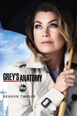 Grey's Anatomy - Season 12 Grey's Anatomy - Season 12