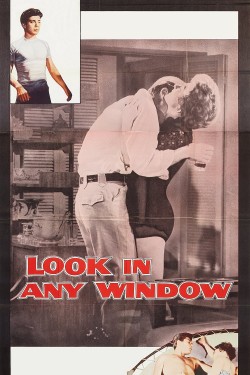 Watch free Look in Any Window movies online on on 123Movies Alternatives site