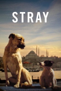 Watch free Stray movies online on on 123Movies Alternatives site