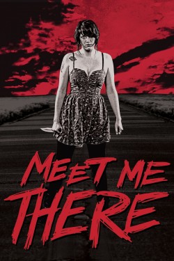 Enjoy Free HD Viewing of Meet Me There on Putlocker