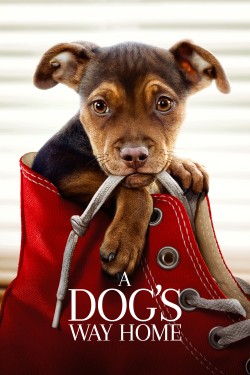 Enjoy Free HD Viewing of A Dog's Way Home on Putlocker