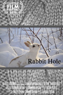 Watch Rabbit Hole movies free AniWave