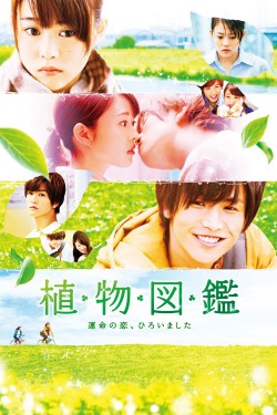 Enjoy Free HD Viewing of Evergreen Love on Putlocker