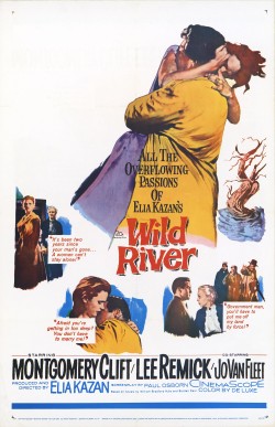 Watch Free Wild River Movies Full HD Online - Movies4K