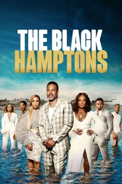 Watch free The Black Hamptons full