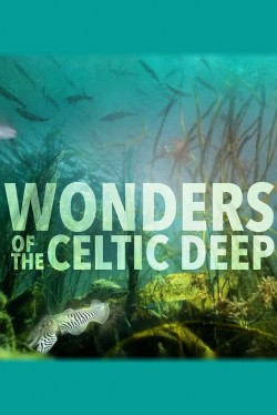 Watch Wonders of the Celtic Deep movies free online 123Movies