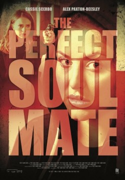 Watch free The Perfect Soulmate movies online - GoMovies