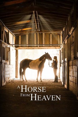 Watch Free A Horse from Heaven Movies HD Online TinyZone Site