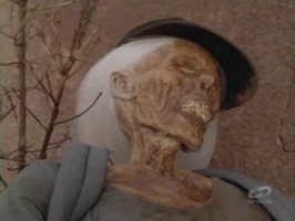 Episode 14