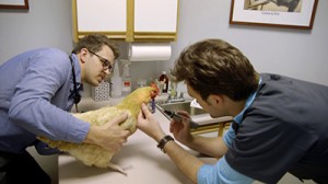 Episode 1