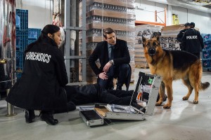 Episode 11