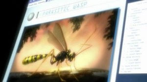 Episode 23