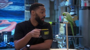Episode 15