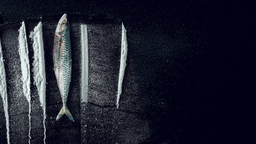 Turn of the Tide: The Surreal Story of Rabo de Peixe