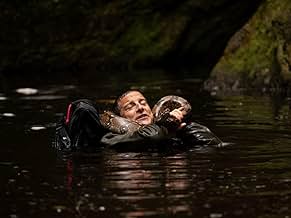 Animals on the Loose: A You vs. Wild Movie