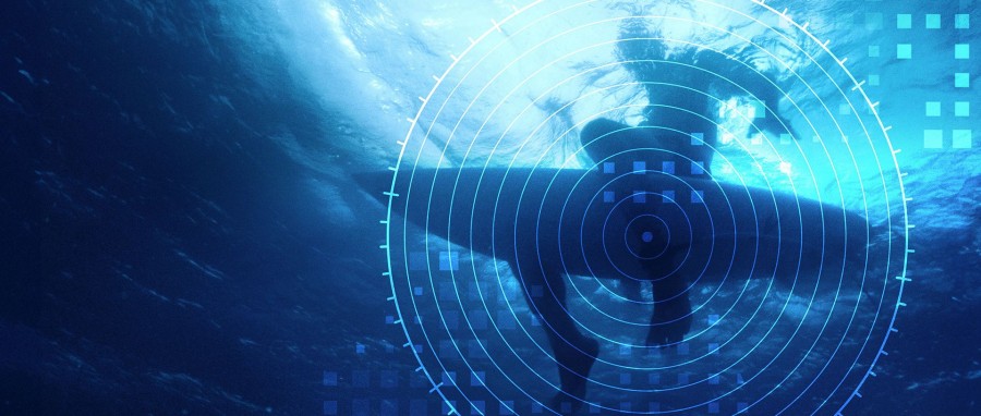 Investigation Shark Attack