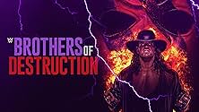Brothers of Destruction