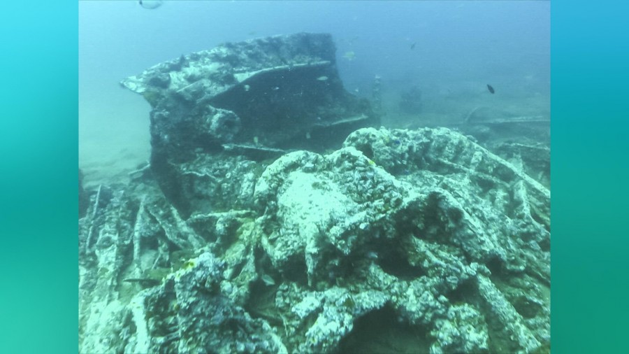 Hitler's American Battlefield