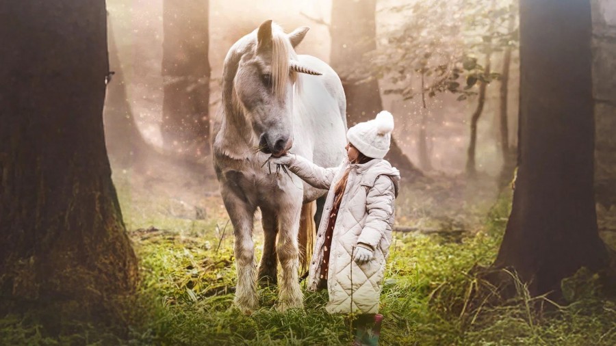 Tale of the Forest Unicorn