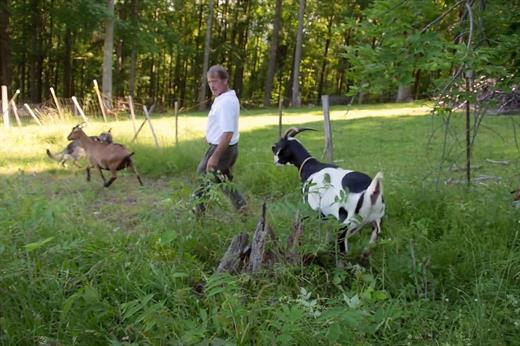 Running for the Mountains