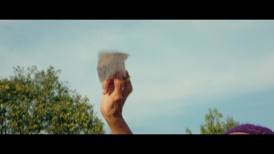 The Paradise of Thorns