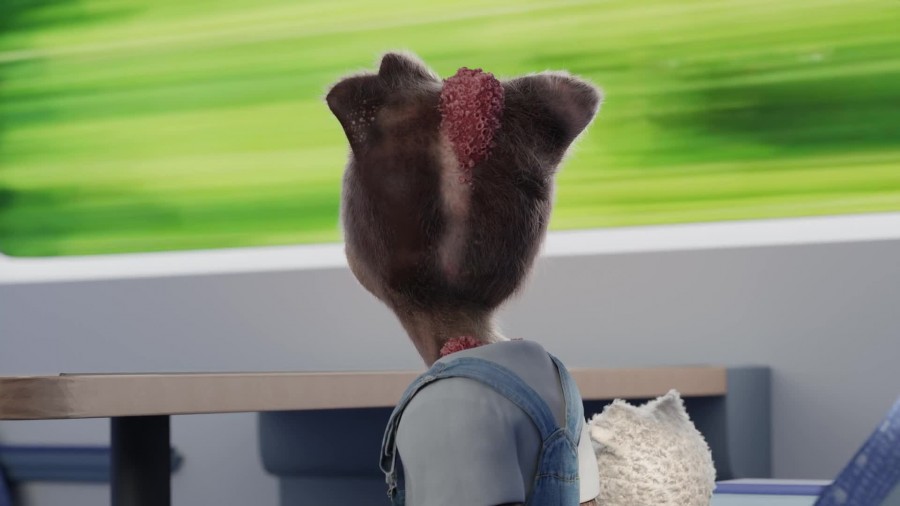 Preoperational Model