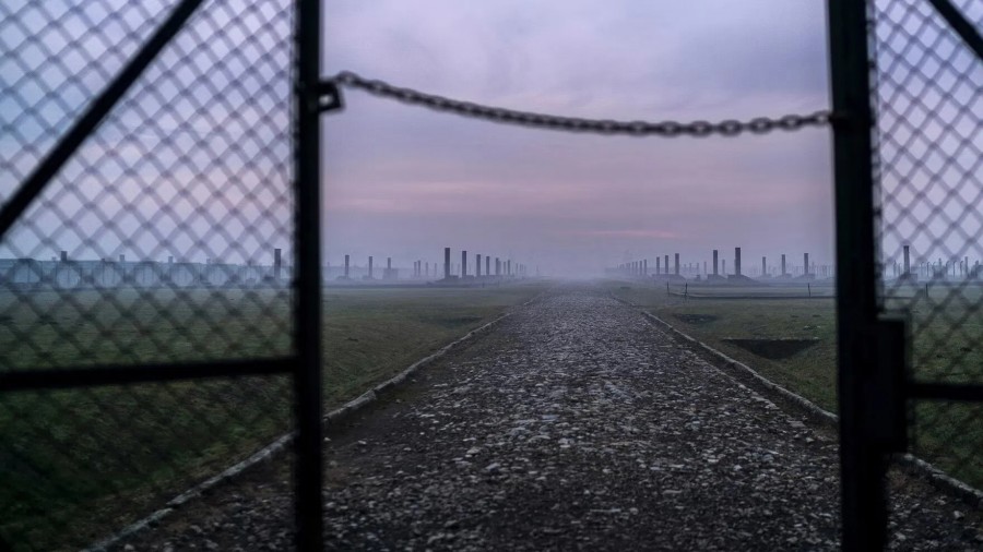 Auschwitz: Countdown to Liberation