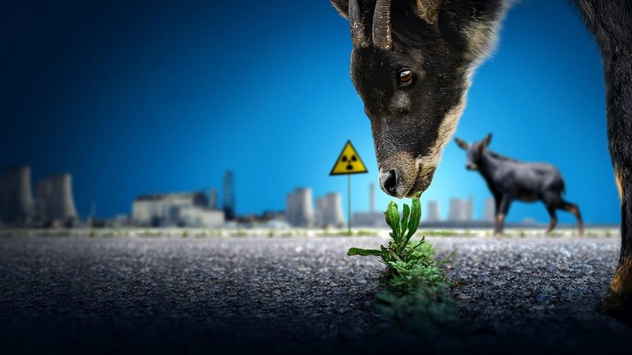 Uncovering Fukushima