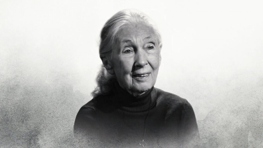 Famous Last Words: Dr. Jane Goodall