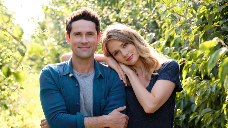 Love Under the Olive Tree