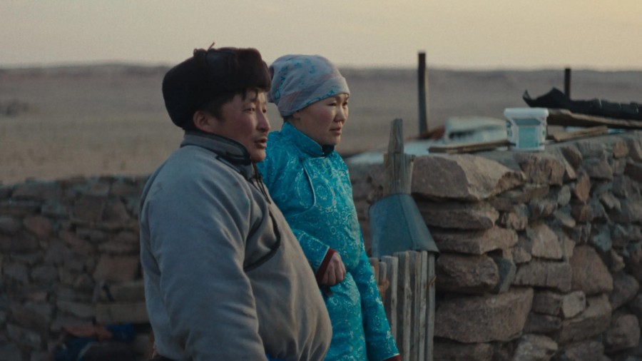 The Wolves Always Come at Night