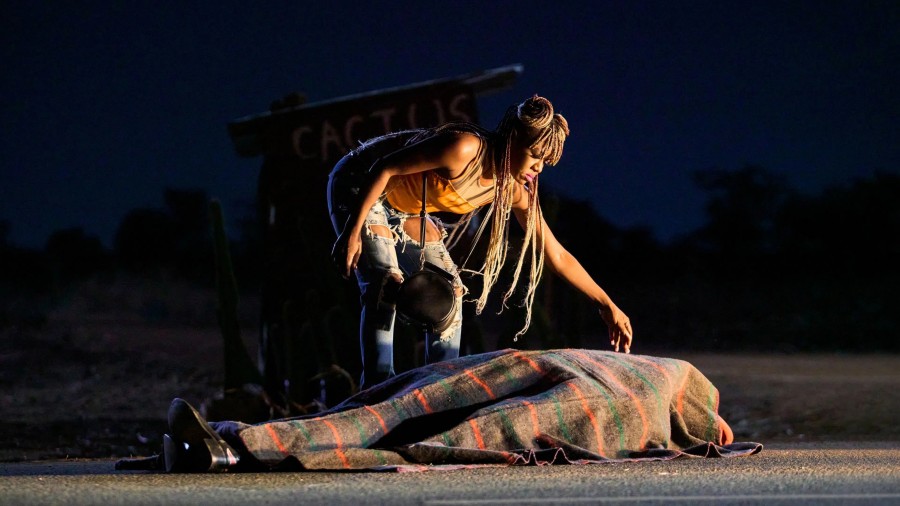 On Becoming a Guinea Fowl