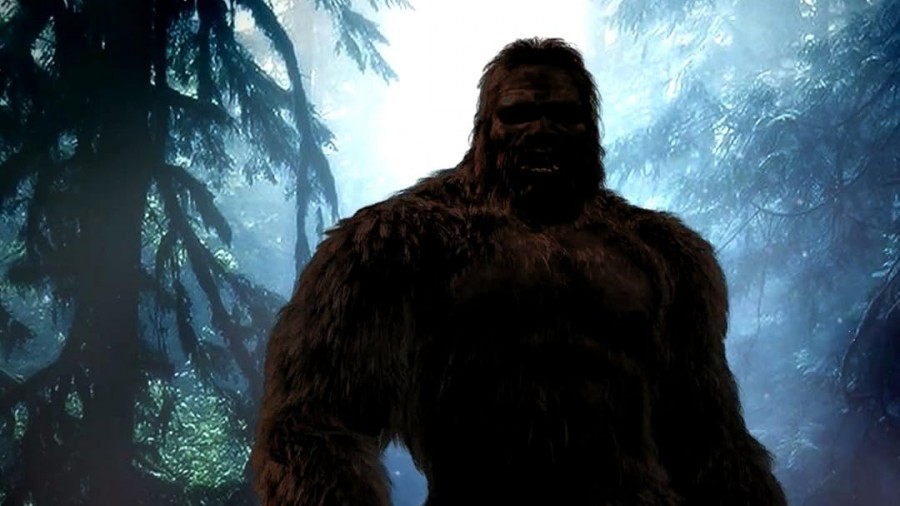 Chasing Bigfoot: The Quest For Truth