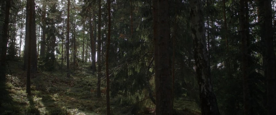 The Huntress: Rune of the Dead