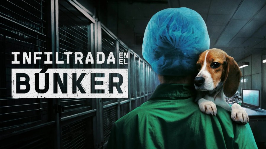 Undercover. Inside the Bunker