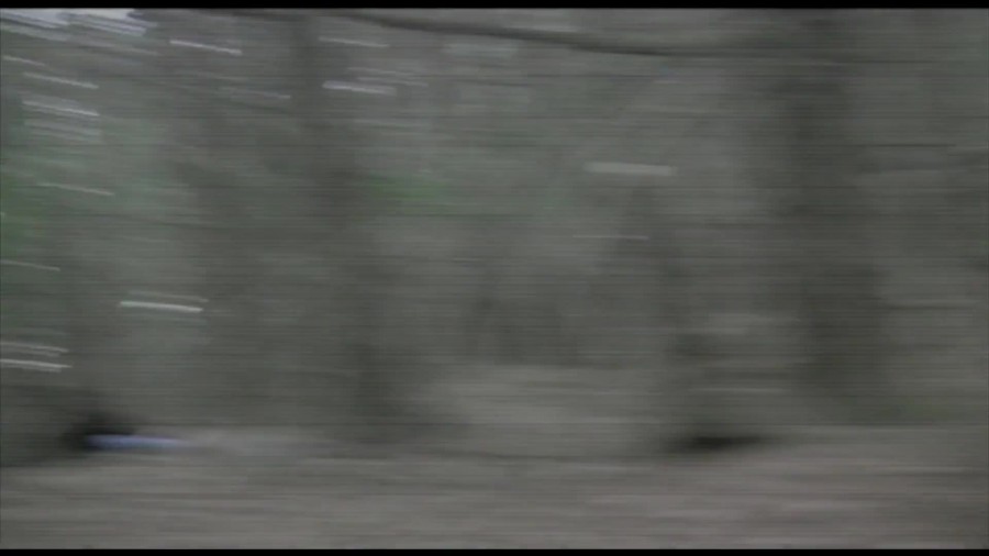 The Devil's Familiar